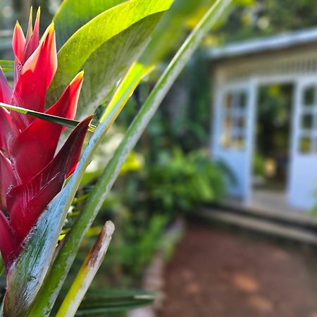 Galkanda Walawwa Kandy Ngoại thất bức ảnh