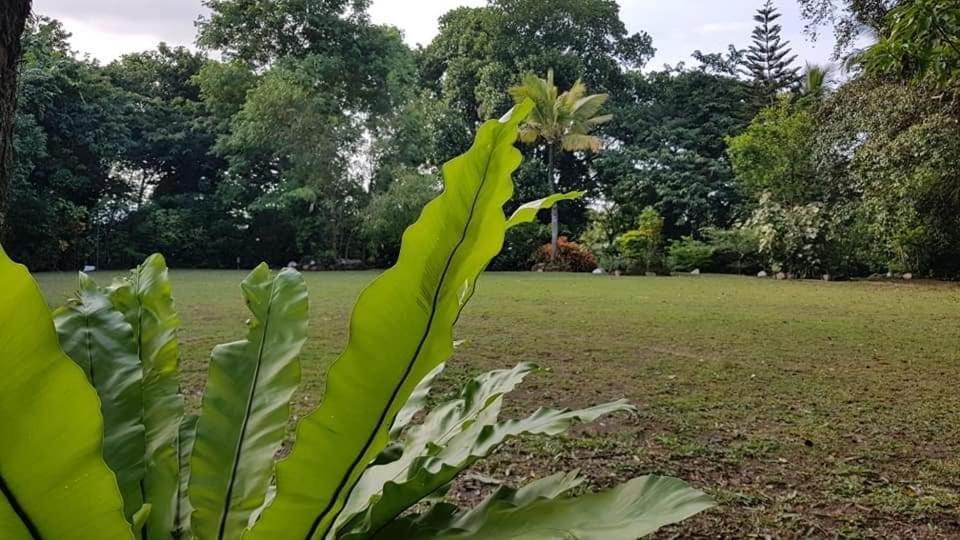Galkanda Walawwa Kandy Ngoại thất bức ảnh