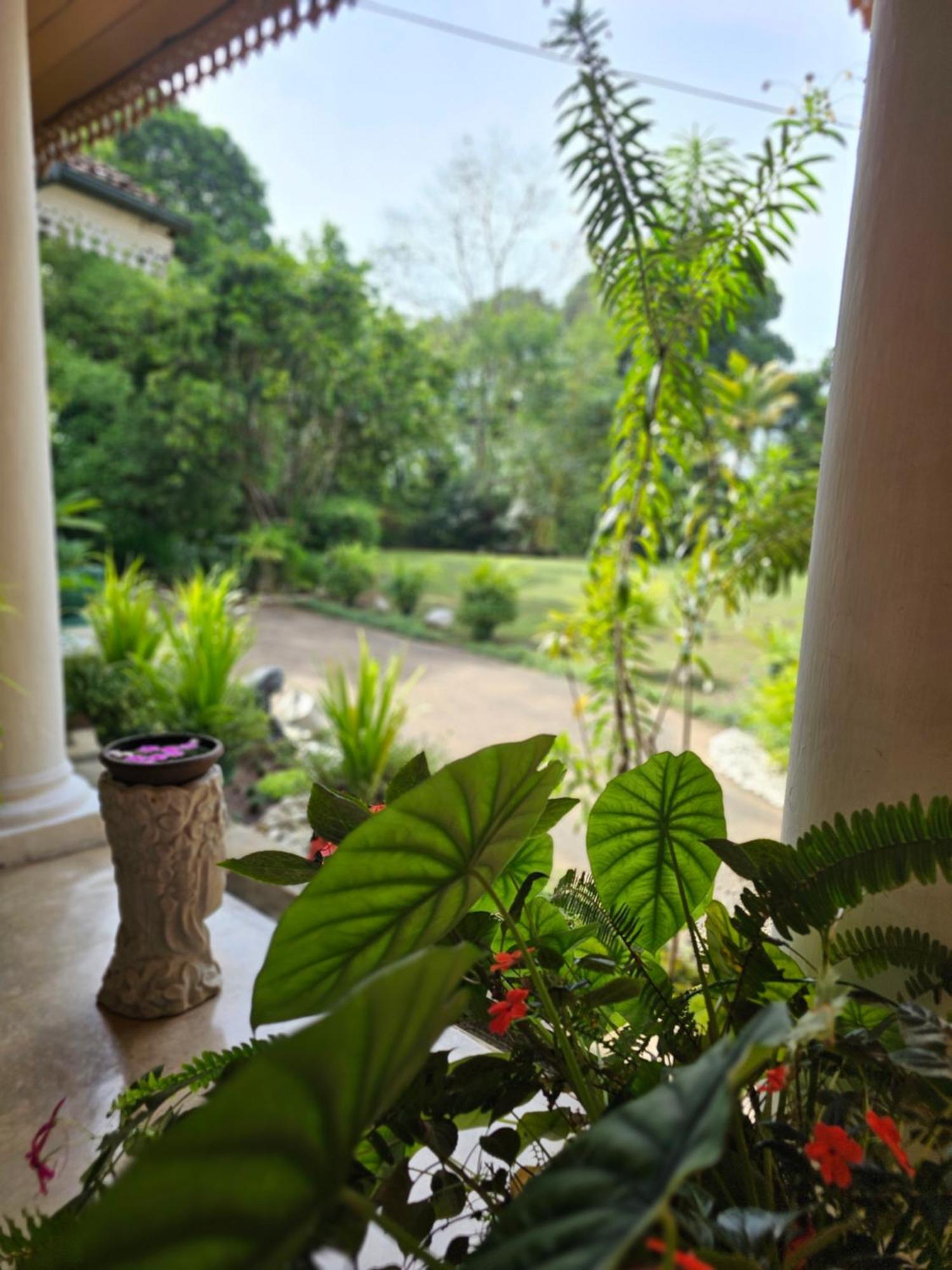 Galkanda Walawwa Kandy Ngoại thất bức ảnh